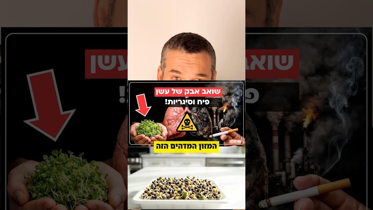 המזון שעוזר לגוף להילחם בזיהום האוויר