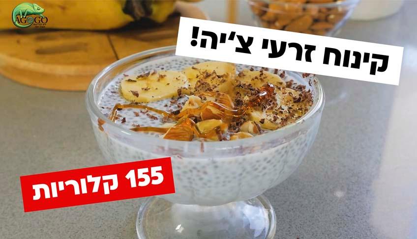 מתכון להכנת קינוח זרעי צ’יה (דל-קלוריות)