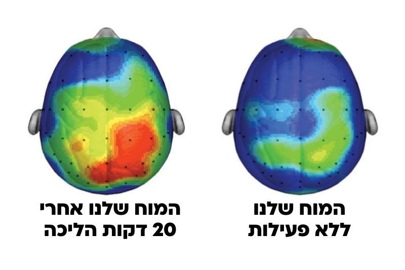 זה מה שקורה למוח שלנו לאחר 20 דקות של פעילות