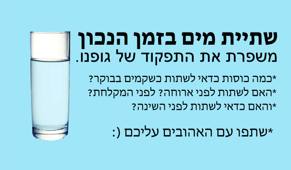 מתי נכון לשתות מים?