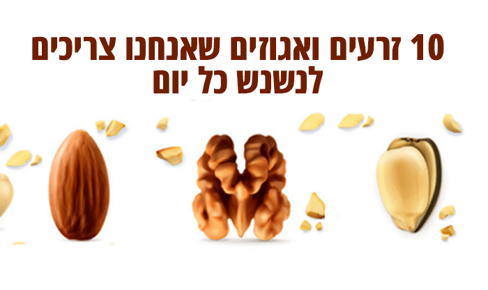 10 זרעים ואגוזים שאנחנו צריכים לאכול כל יום