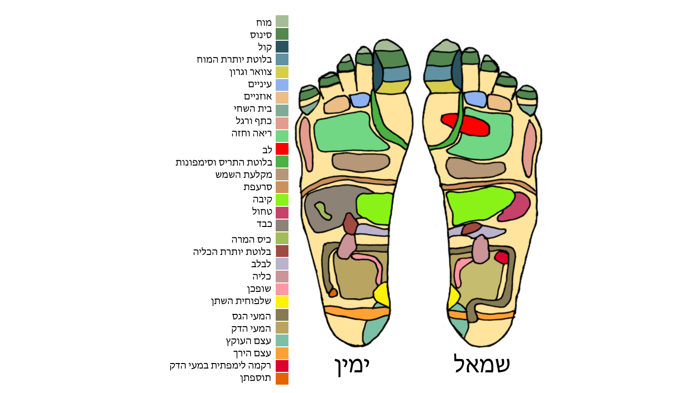 טיפול לגוף בצורה עצמאית עם מפה רפלקסולוגית