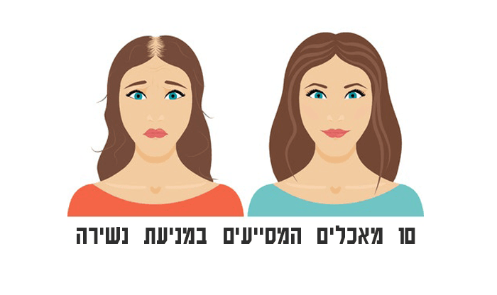 10 מאכלים המסייעים במניעת נשירה