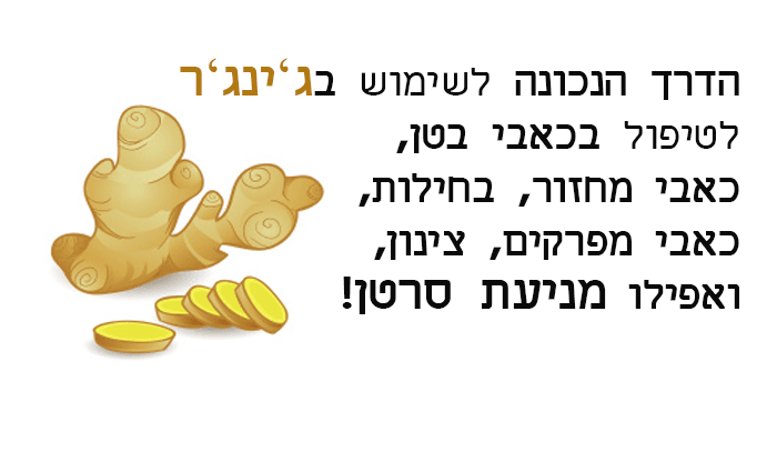 ג’ינג’ר – 10 יתרונות בריאותיים