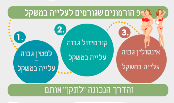 9 דרכים מוכחות לאיזון ההורמונים השולטים על המשקל שלך