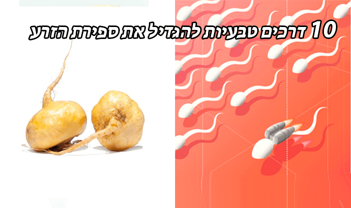 10 דרכים טבעיות להגדיל את ספירת הזרע