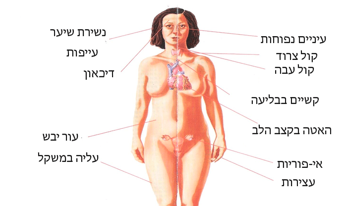 10 דרכים טבעיות לטיפול בתת פעילות של בלוטת התריס