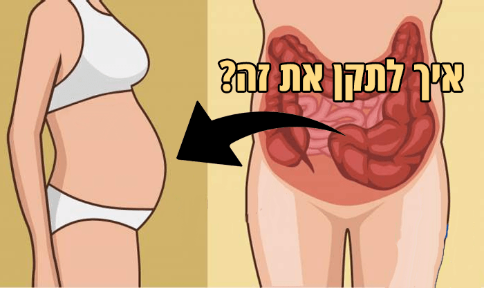 איך לאזן את חיידקי המעיים ב-4 צעדים פשוטים