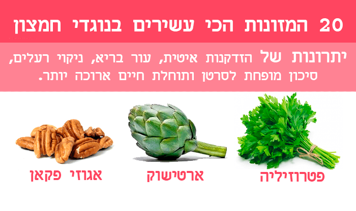 20 מזונות הכי עשירים בנוגדי חמצון