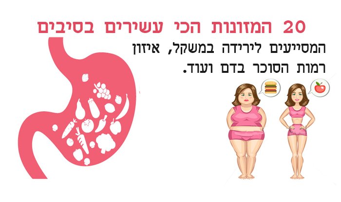 20 מאכלים הכי עשירים בסיבים