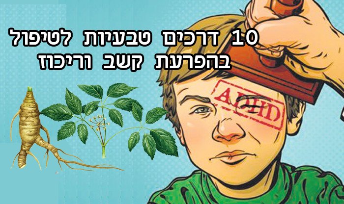 10 דרכים טבעיות לטיפול בהפרעת קשב וריכוז (ADHD)