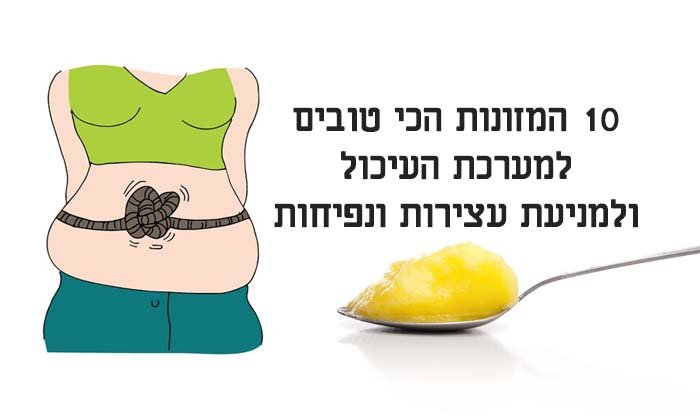 10 המזונות הכי טובים למערכת העיכול