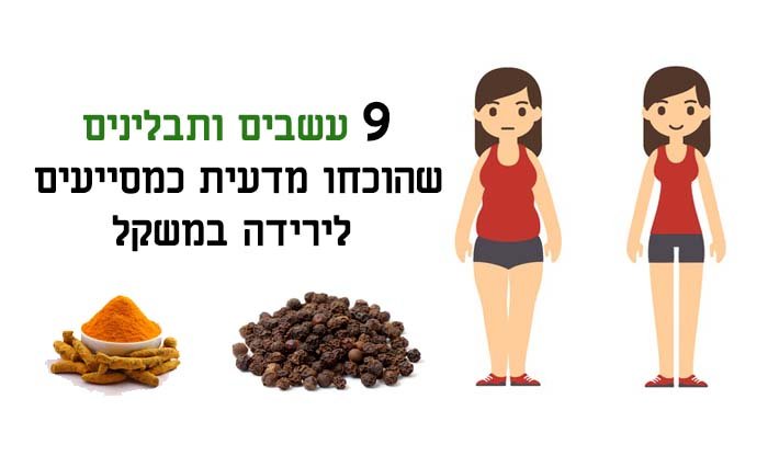 9 עשבים ותבלינים שהוכחו מדעית כמסייעים לירידה במשקל