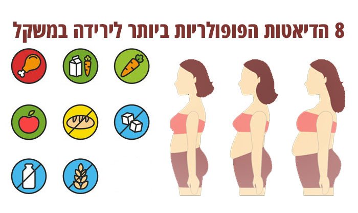 8 הדיאטות הכי פופולריות נבדקות על ידי המדע