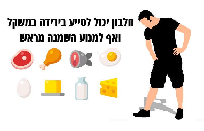 צריכת חלבון – כמה חלבון צריך לאכול ביום?