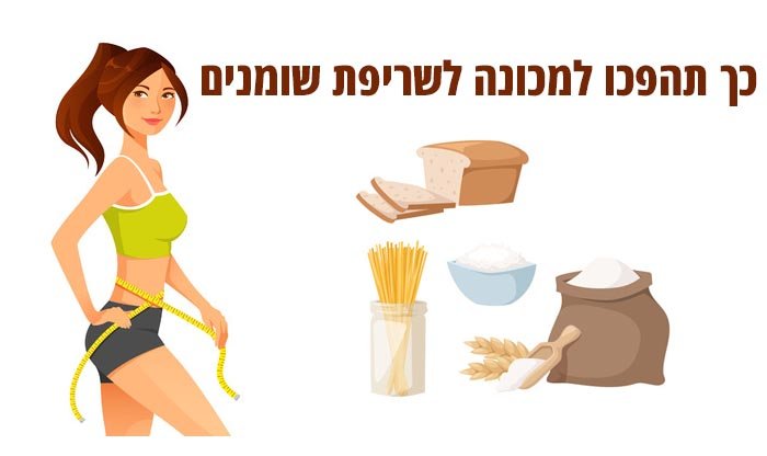 כמה פחמימות צריך לאכול ביום כדי לרדת במשקל?