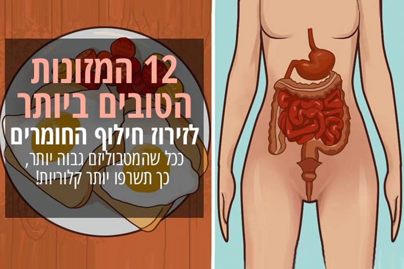 12 המזונות הטובים ביותר לזירוז חילוף החומרים