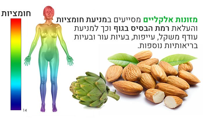 מזונות אלקליים (מזונות בסיסיים) שמסייעים לאזן את הגוף