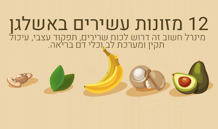 12 המזונות העשירים ביותר באשלגן