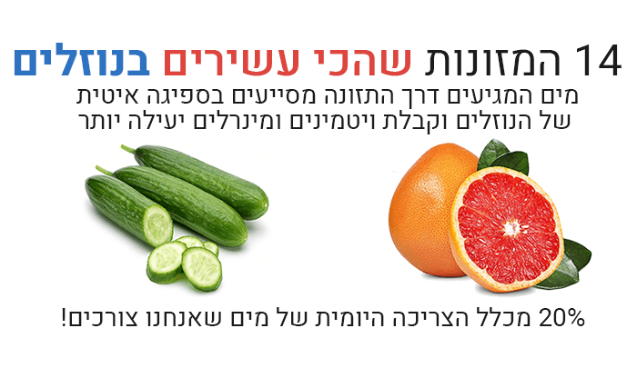 14 המזונות שהכי עשירים בנוזלים