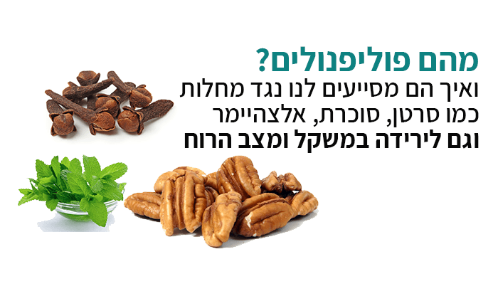 פוליפנולים: מהם ומדוע אנו זקוקים להם