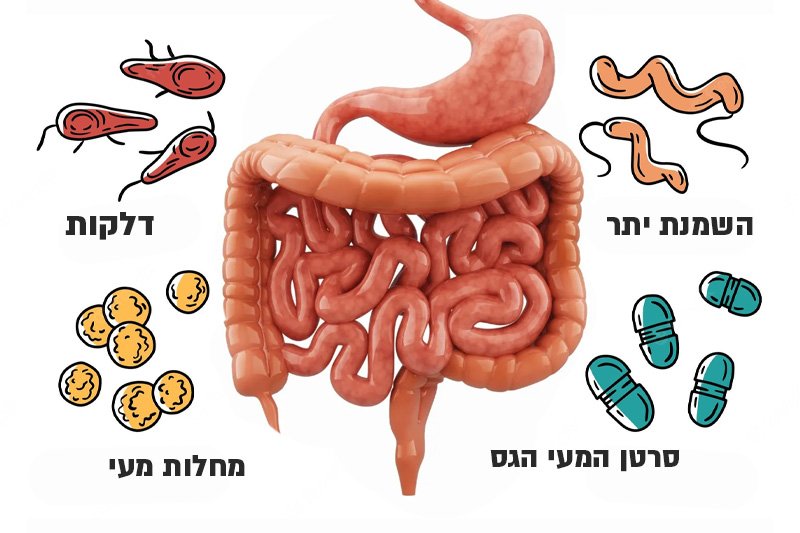 8 דברים מפתיעים שפוגעים בחיידקי הבטן