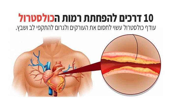 10 דרכים להנמיך את רמות הכולסטרול