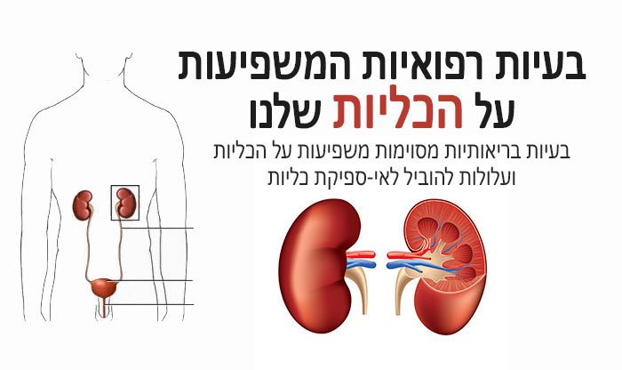 בעיות רפואיות המשפיעות על הכליות שלנו