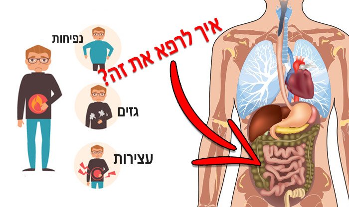 9 דרכים מוכחות לריפוי המעי באופן טבעי