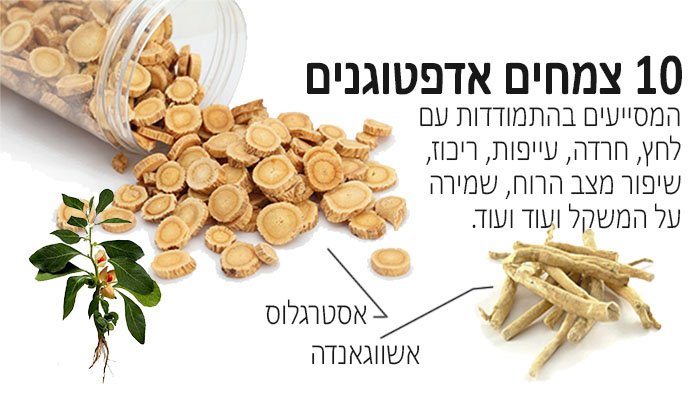 אדפטוגנים: יתרונות, מקורות ותופעות לוואי