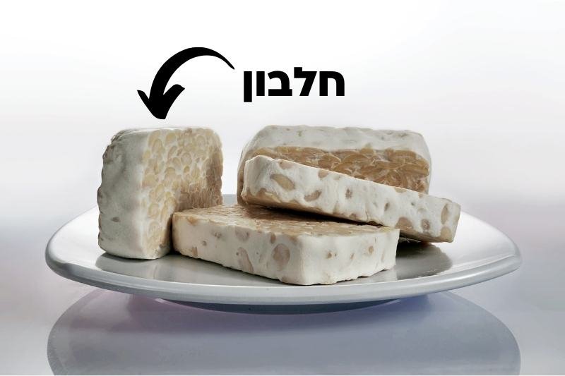 25 מזונות שהכי עשירים בחלבון