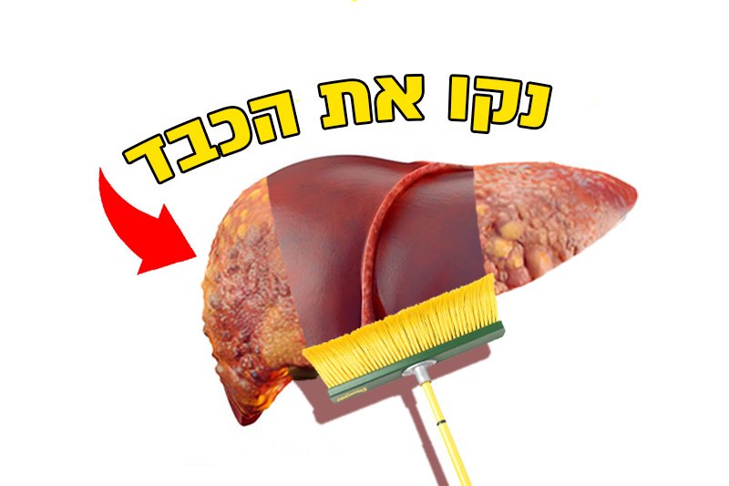 הדרכים הטובות ביותר לנקות את הכבד