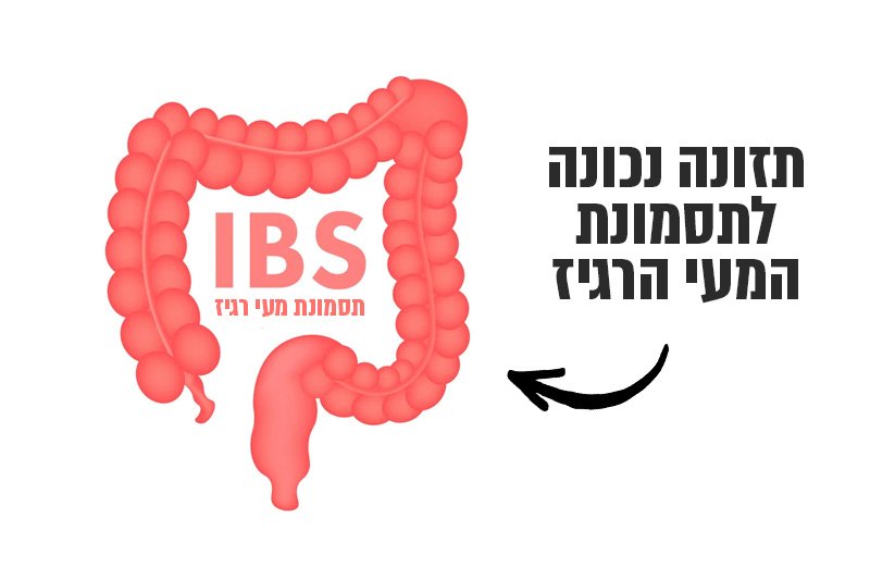 תזונה לתסמונת המעי הרגיז (IBS)