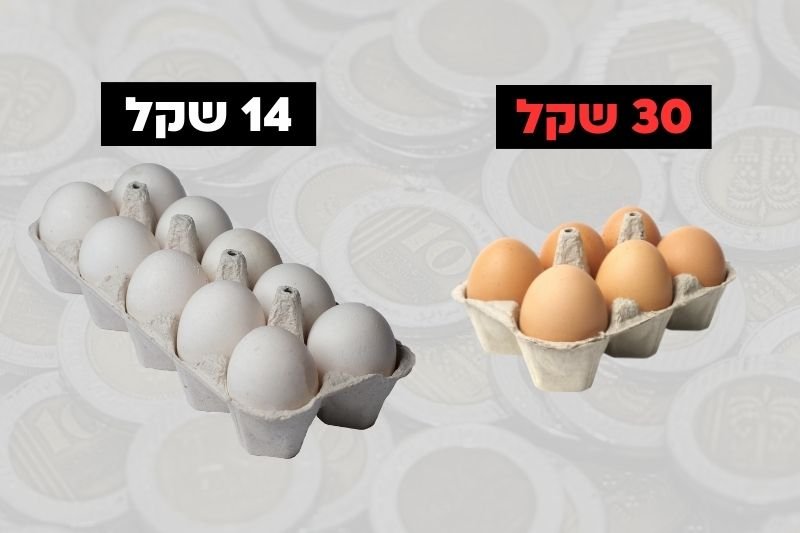 האם ביצים יקרות באמת שוות את המחיר?