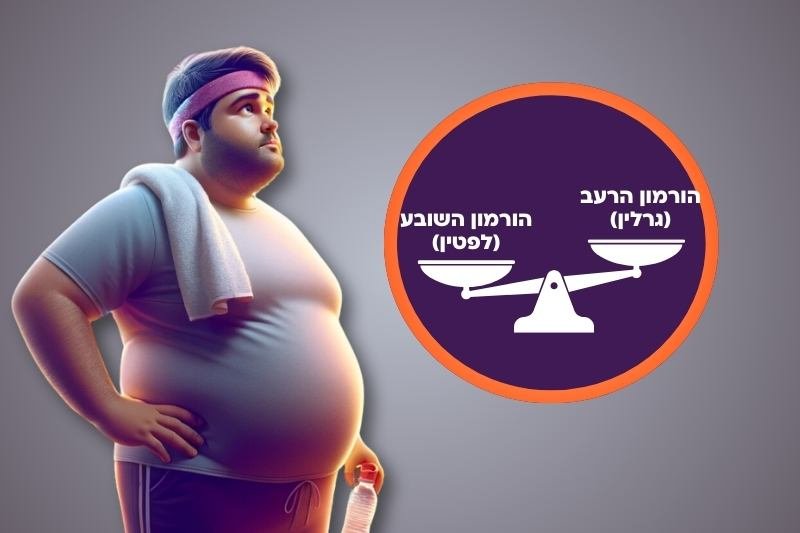 איך להפסיק את הרעב? כך תאזנו את ההורמונים השולטים על הרעב והשובע