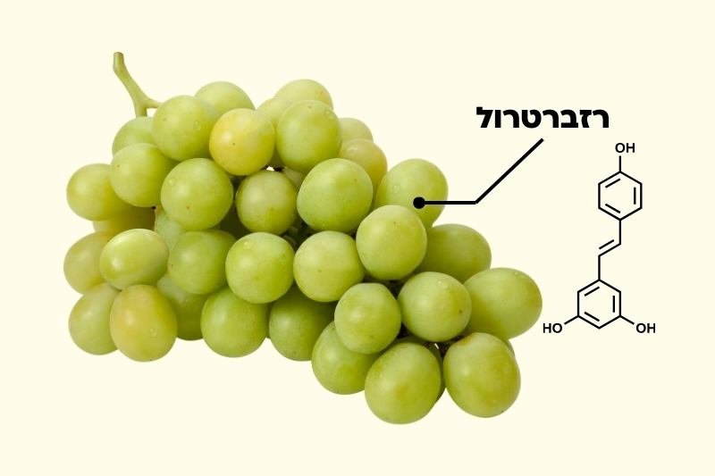 למה כדאי לאכול ענבים? 8 יתרונות בריאותיים שלא הכרתם
