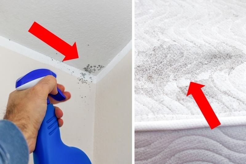 משתעלים בלילה? 5 סימנים לעובש בחדר השינה ואיך להיפטר ממנו