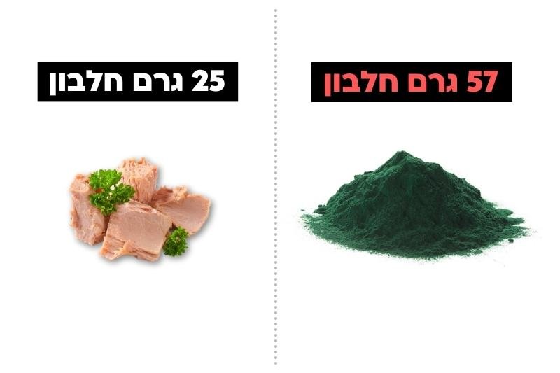 הסוד לגוף חטוב ובריא! 7 מזונות שעשירים במיוחד בחלבון שכדאי לכם להכיר